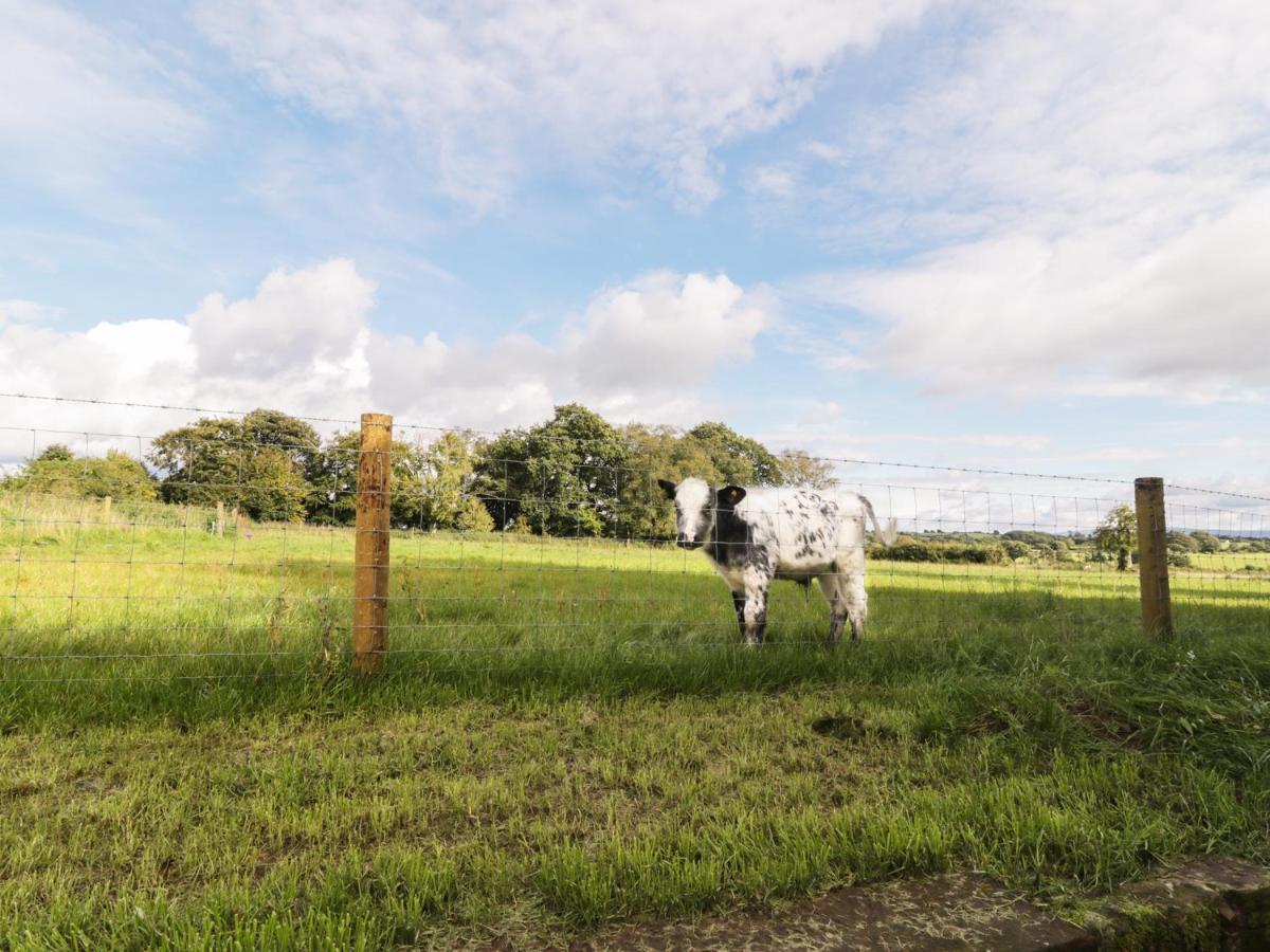 Faraway Cottage Kirklinton Esterno foto